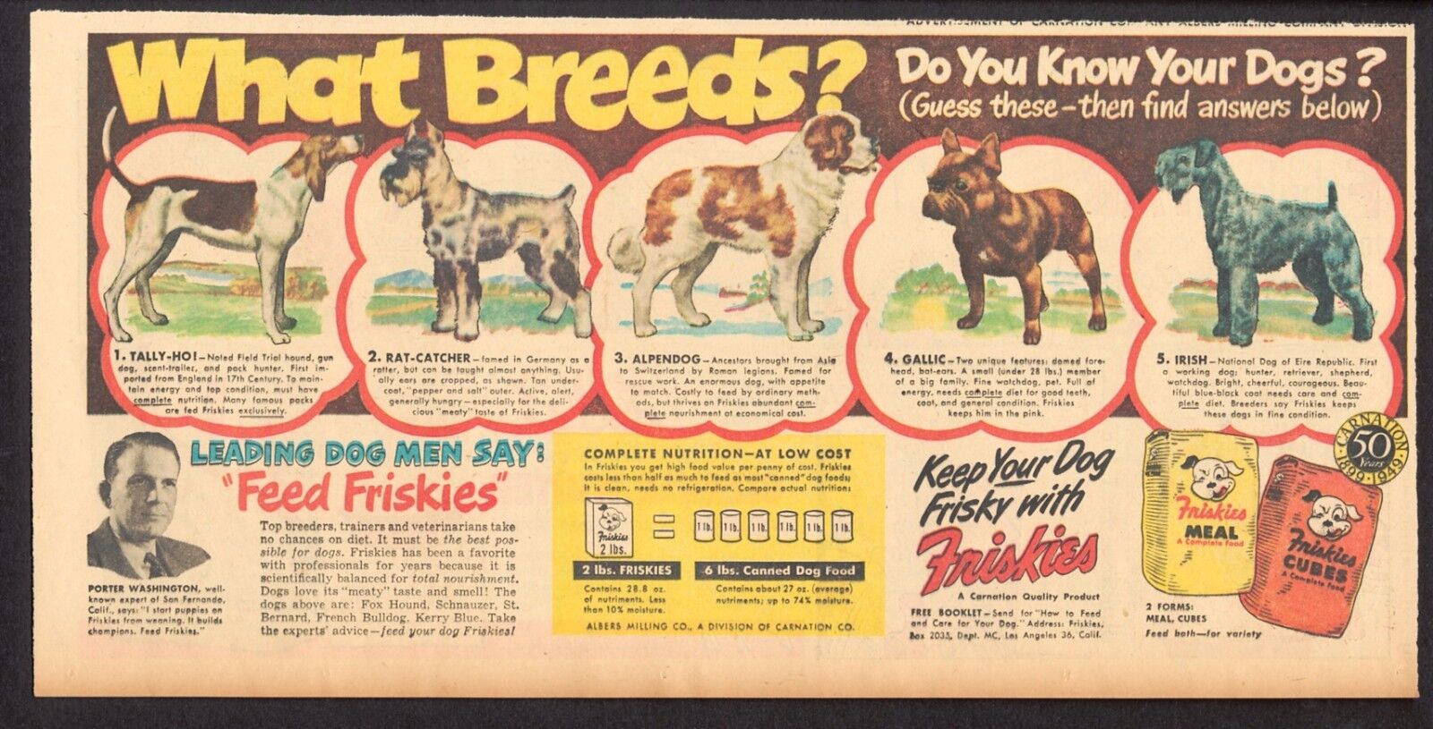 1949 - Friskies Dog Food Ad - What Breeds? - Fox Hound, Schnauzer, Kerry Blue