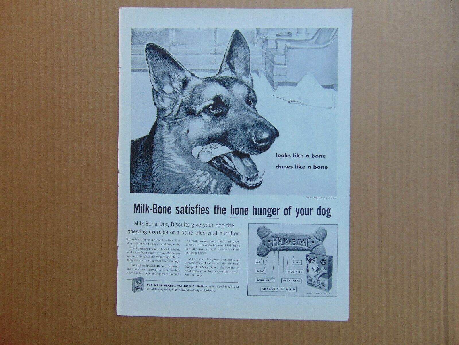 1959 Milk Bone Dog Biscuits Looks Like A Bone Chews Like A Bone Art Print Ad