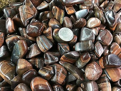 1000 Carat Lots Of Polished Tumbled Red Tiger Eye + Free Faceted Gemstone