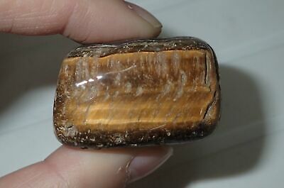 Tumbled Tiger Eye Stone Specimen 56.9 Gram 37x33x23 Mm