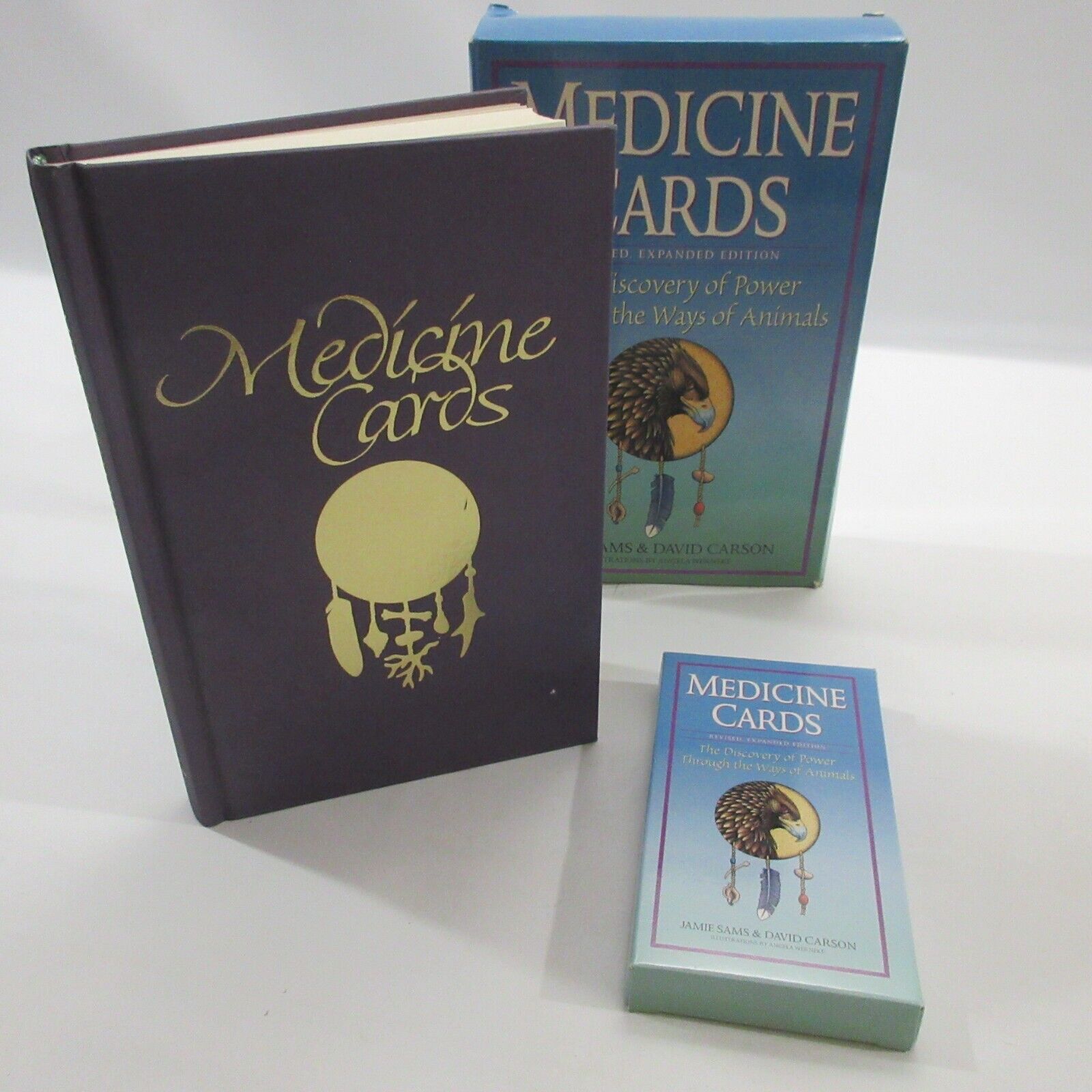 Medicine Cards & Book Nature Magic Oracle Animal Totem Jamie Sams David Carson