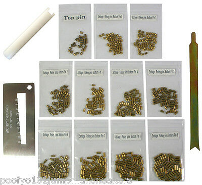 Custom Schlage Rekey Kit Locksmith Rekeying Pins Kits Bottom Pin 0 - 9 3 Tools