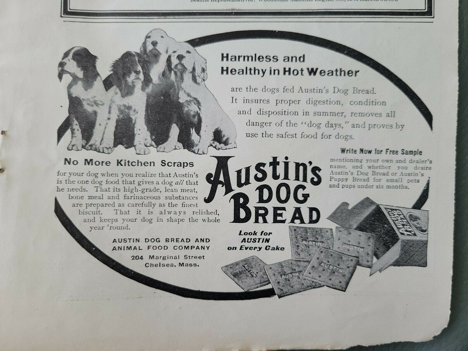 1913 Austin's Dog Bread Biscuits Food Spaniels Vintage Ad